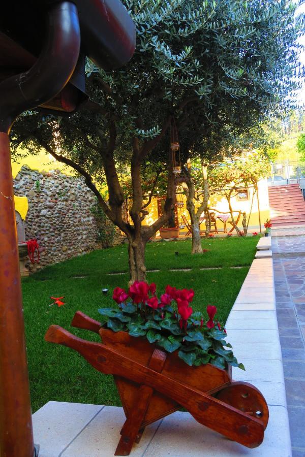 Came Bed & Breakfast Alzano Lombardo Екстериор снимка