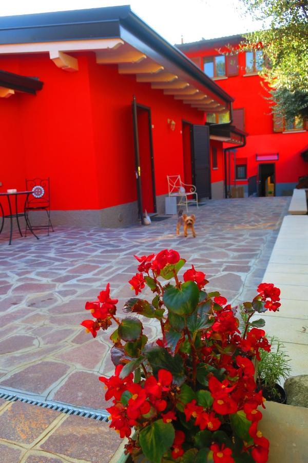 Came Bed & Breakfast Alzano Lombardo Екстериор снимка
